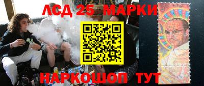 сатива Новозыбков