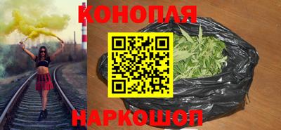 сатива Новодвинск