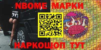 сатива Новозыбков