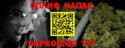 сатива Новозыбков
