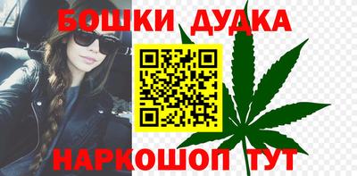 сатива Новодвинск