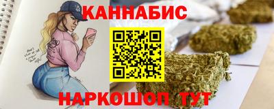 сатива Новозыбков
