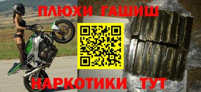 сатива Новозыбков