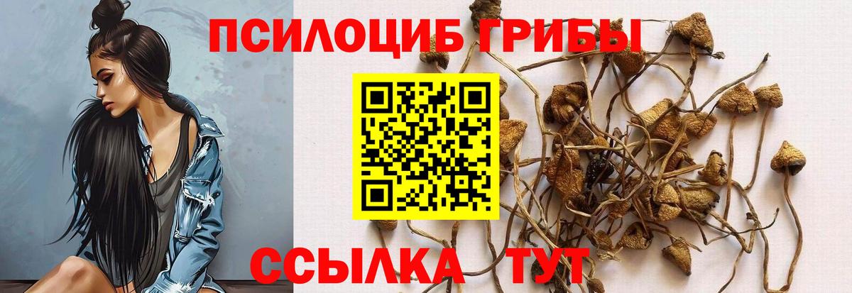 Псилоцибиновые грибы мухоморы  Галлюциногенные грибы MAGIC MUSHROOMS  Вход с VPN  где продают наркотики  Сызрань 