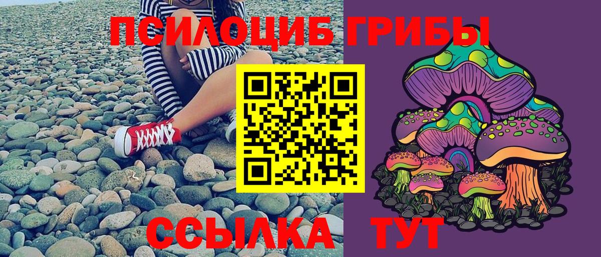 Галлюциногенные грибы Magic Shrooms Сызрань